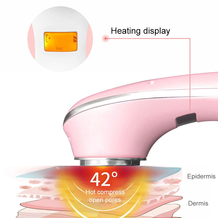 Multi-functional Household Beauty and Body Apparatus Facial Ion Importer