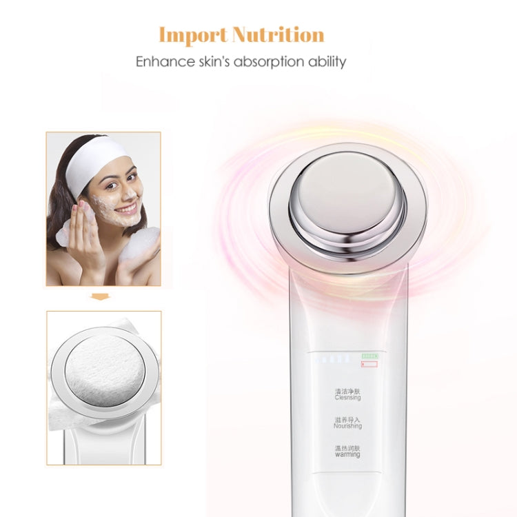 KD9960 Ion Beauty Introduction Instrument Face Cleansing Massager Skin Rejuvenation Thermostat Deep Clean Acne Therapy