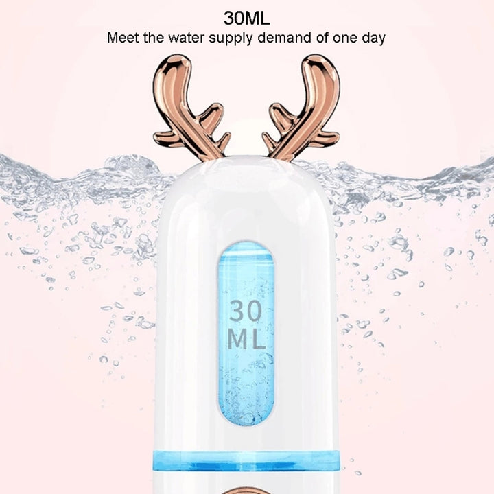 Facial Steamer Nano Spray Water Replenishing Instrument Portable Cold Spray Machine Charging Beauty Instrument Alcohol Disinfection, Cute Rabbit, Cute Deer, Crown