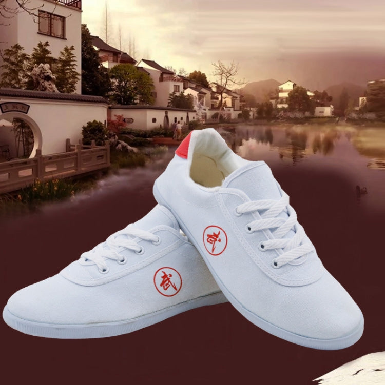 Tai Chi Martial Arts Taekwondo Performance Shoes Tendon Sole Sneakers, 27/170, 28/180, 29/190, 30/200, 32/210, 33/215, 34/220, 35/225, 36/230, 37/235, 38/240, 39/245, 40/250, 41/255, 42/260, 43/265