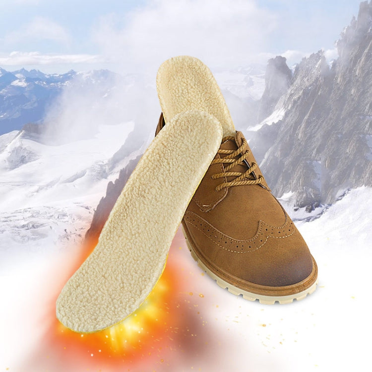 Imitation Lamb Wool Thickened Invisible Thermal Insole, S, L