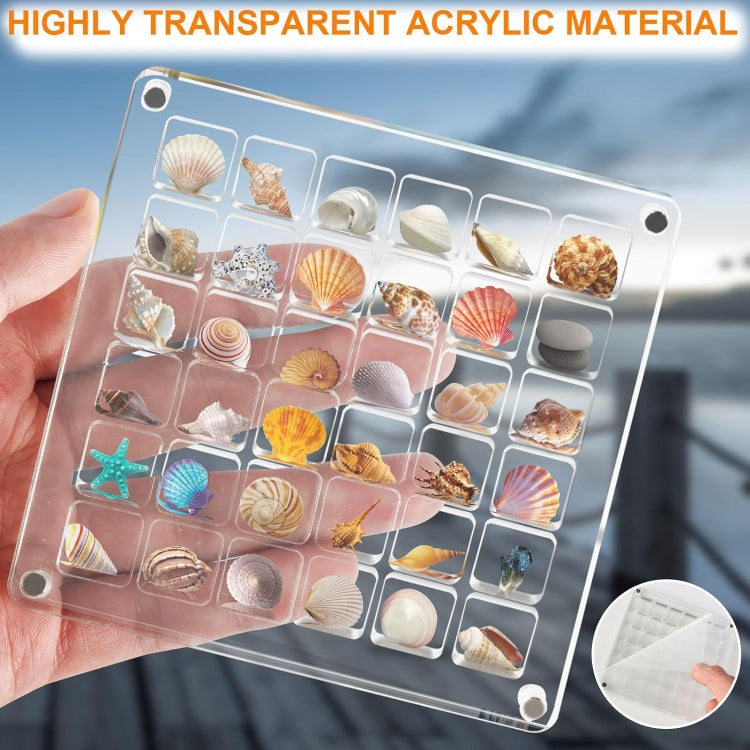 Acrylic Magnetic Seashell Storage Display Box Beads Jewelry Nail Art Storage Box, 36 Grids, 64 Grids, 100 Grids