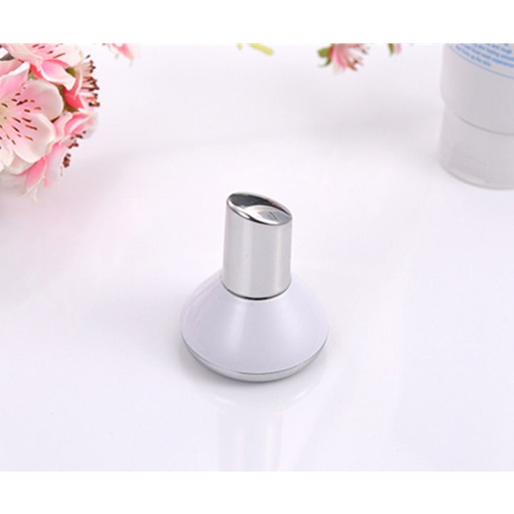 Small Dumbbell Reverse Magnetic Vibration Beauty Instrument Magnetic Mask Essential Oil Introduction Instrument