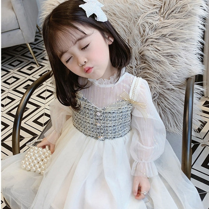 Girls Long Sleeve Mesh Dress, 90, 100, 110, 120, 130